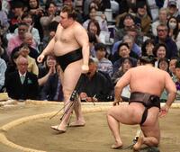 霧島（右）を下手投げで下した安青錦（撮影・坂部計介）