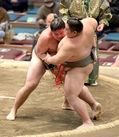 寄り切りで大雄翔を下した徳之武蔵（撮影・坂部計介）