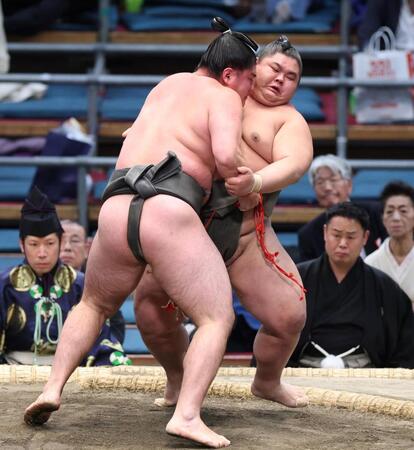 大雄翔（右）を寄り切りで破る徳之武蔵（撮影・中田匡峻）