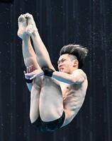 男子高飛び込みで優勝した玉井陸斗