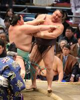 琴桜（左）に押し出しで敗れた霧島（撮影・坂部計介）