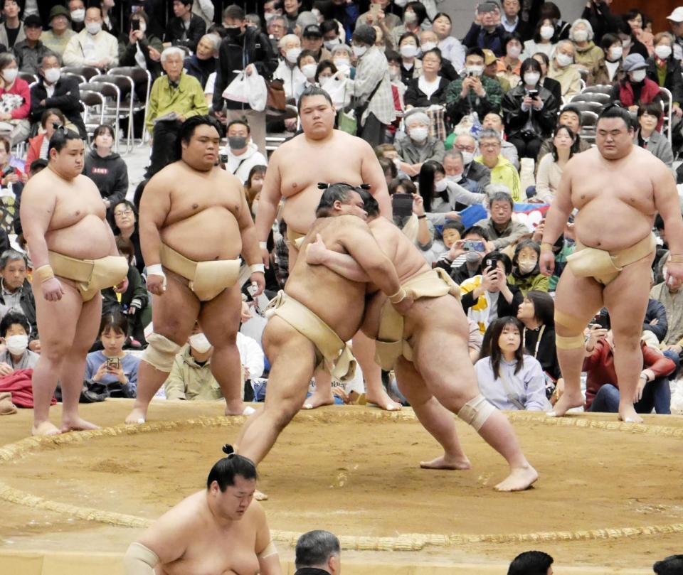 相撲を取る高安（左）