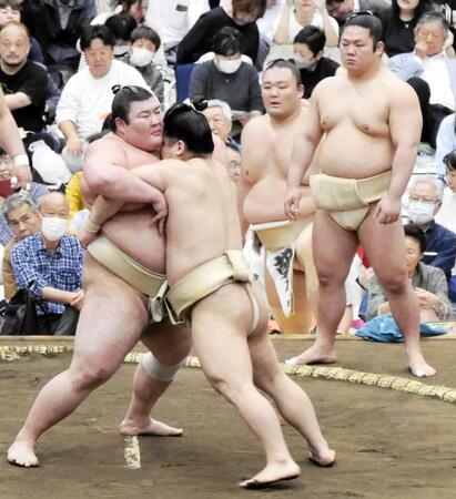 熱海富士にもろ差しで対抗する朝紅龍