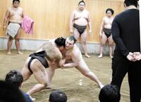 胸を出す安青錦（右）