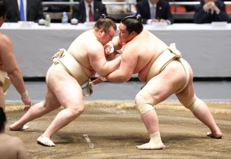 稽古する安青錦（左）と琴桜（撮影・石井剣太郎）