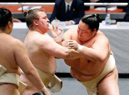 稽古総見で汗を流す琴桜（右）と安青錦