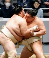 稽古総見で汗を流す豊昇龍