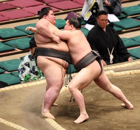 柏王丸（左）を寄り切りで破る旭富士（撮影・石井剣太郎）