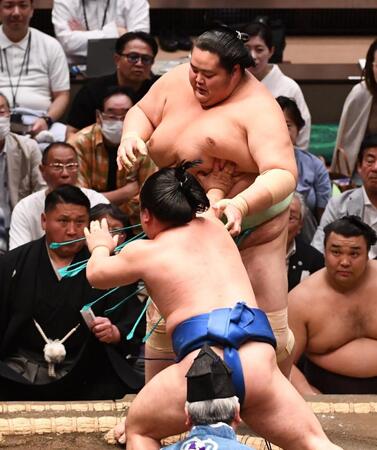 突き出しで藤ノ川に敗れた琴桜（撮影・園田高夫）