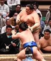 突き出しで藤ノ川に敗れた琴桜（撮影・園田高夫）