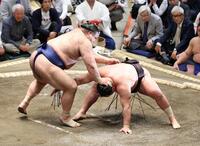 豊昇龍を上手投げで破る高安（左）＝撮影・石井剣太郎