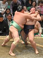 琴桜（左）が押し出しで義ノ富士を下す