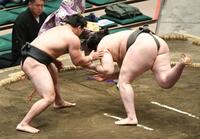 龍葉山（右）を突き落としで破った大森（撮影・佐藤厚）