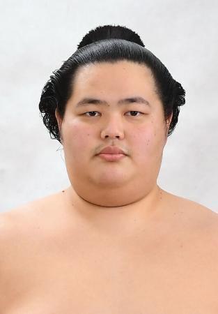 　琴桜