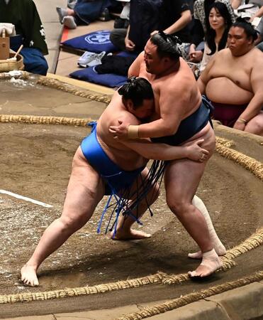 旭海雄（左）の寄り切りに敗れる玉鷲（撮影・持木克友）