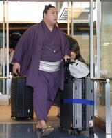 パリに向け出発した若隆景（撮影・伊藤笙子）