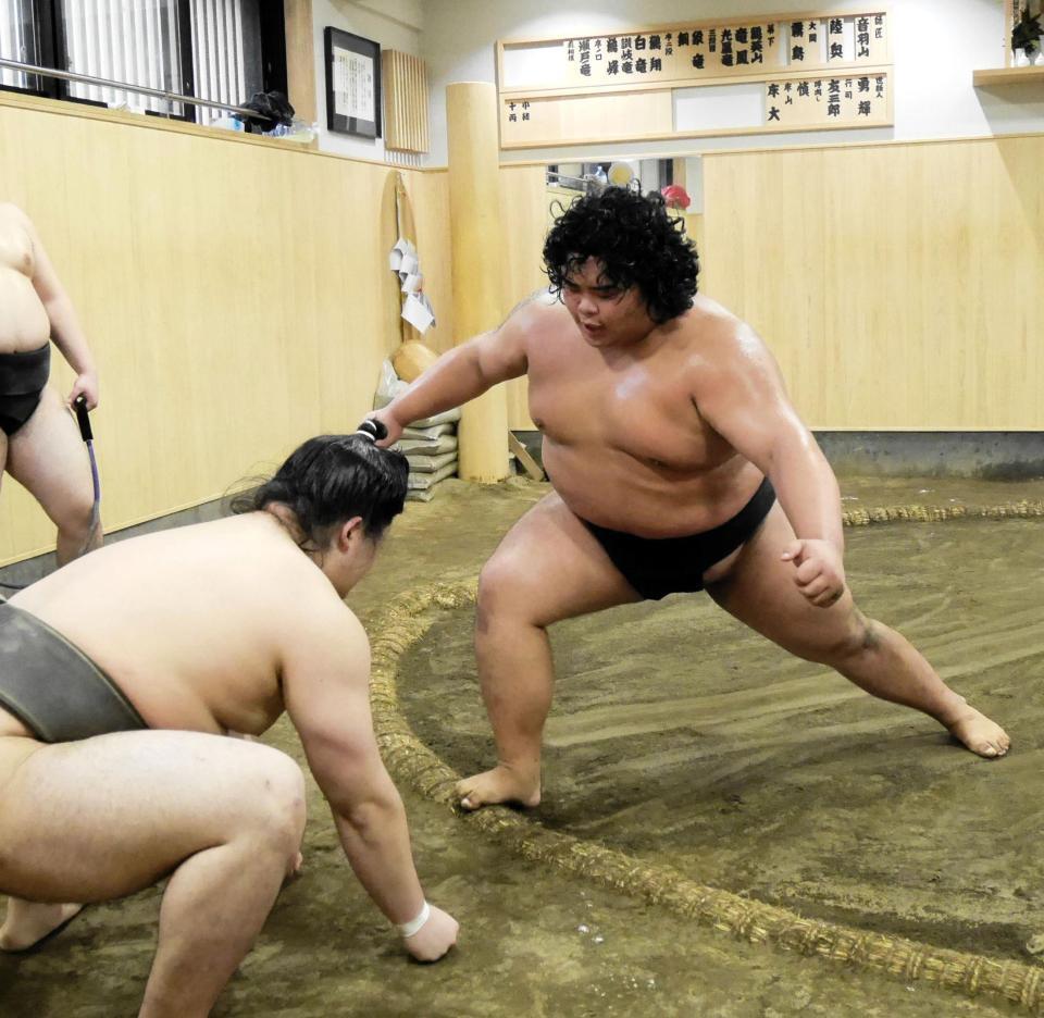 胸を出す竜鳳
