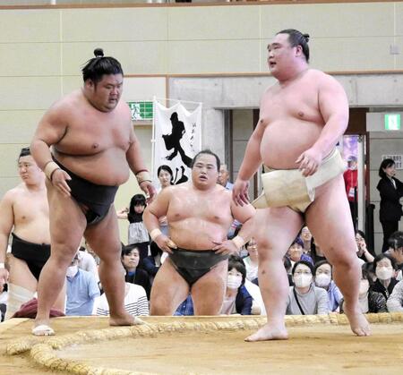 白熊（右）に胸を出される天空海＝茨城・大洗町