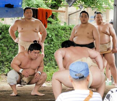 申し合いで相撲を取る朝紅龍