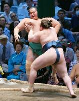 琴桜が寄り切りで安青錦に敗れる