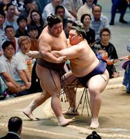大の里が寄り切りで伯乃富士を下す
