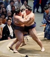 大の里が寄り切りで伯乃富士を下す