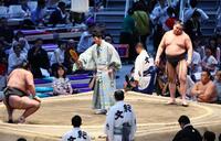 生田目（左）に突き出しで敗れた旭富士