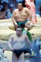 豪ノ山を寄り切りで下し、花道を引き揚げる安青錦。後ろは大関琴桜