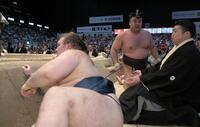 優勝決定ともえ戦、霧島（奥）を寄り切りで破った安青錦