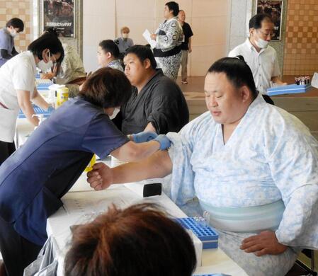 採血に臨む玉鷲