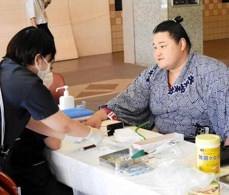 採血に臨む若ノ勝