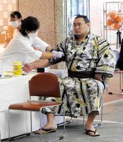 血圧を測る豊昇龍