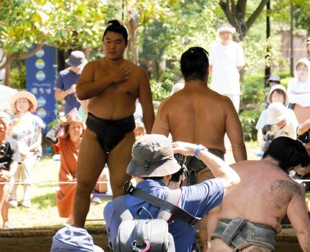 稽古で汗を流す朝力丸