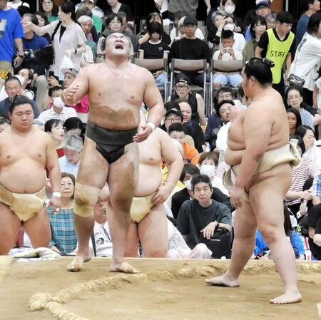 琴桜（右）にぶつかる峰刃