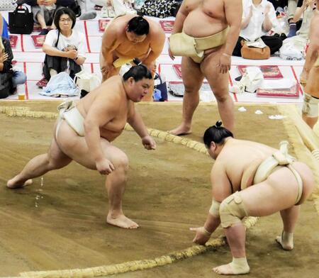 輝に胸を出す大の里
