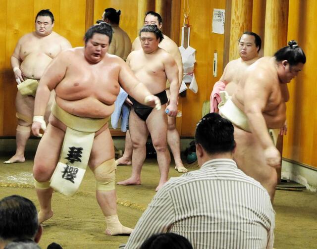 大の里を押し出す琴桜