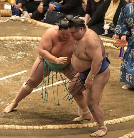 高安を寄り切りで下した琴桜（撮影・持木克友）