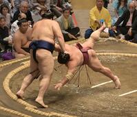 大栄翔（右）を叩き込みで下した大の里（撮影・持木克友）