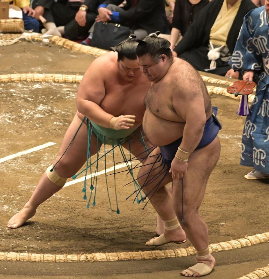 高安を寄り切りで下した琴桜（撮影・持木克友）
