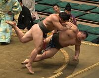 行徳（右）を寄り倒しで破った大森（撮影・持木克友）