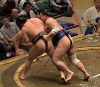 旭富士（左）を上手投げで破る栃大海（撮影・持木克友）