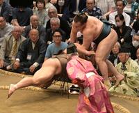 伯乃富士（左）の押し出しに敗れた安青錦（撮影・持木克友）
