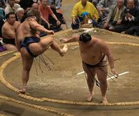 高安（左）の突きでバランスを失う大の里（撮影・持木克友）