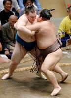 伯乃富士（右）の攻めを受ける安青錦。押し出しで敗れる