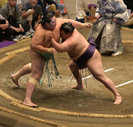琴桜（左）を押し出しで破った美ノ海（撮影・持木克友）