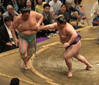 琴桜（左）を押し出しで破った美ノ海（撮影・持木克友）