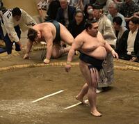 豪ノ山（右）の押し倒しで敗れた安青錦（撮影・持木克友）