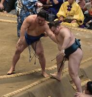 藤ノ川（左）に寄り切りに敗れた安青錦（撮影・持木克友）
