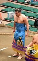 新序出世披露で挨拶する砂武蔵（撮影・千葉大輝）