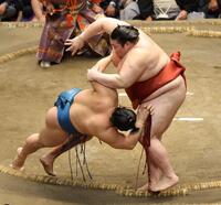 琴栄峰（左）を突き落とす熱海富士（撮影・吉澤敬太）